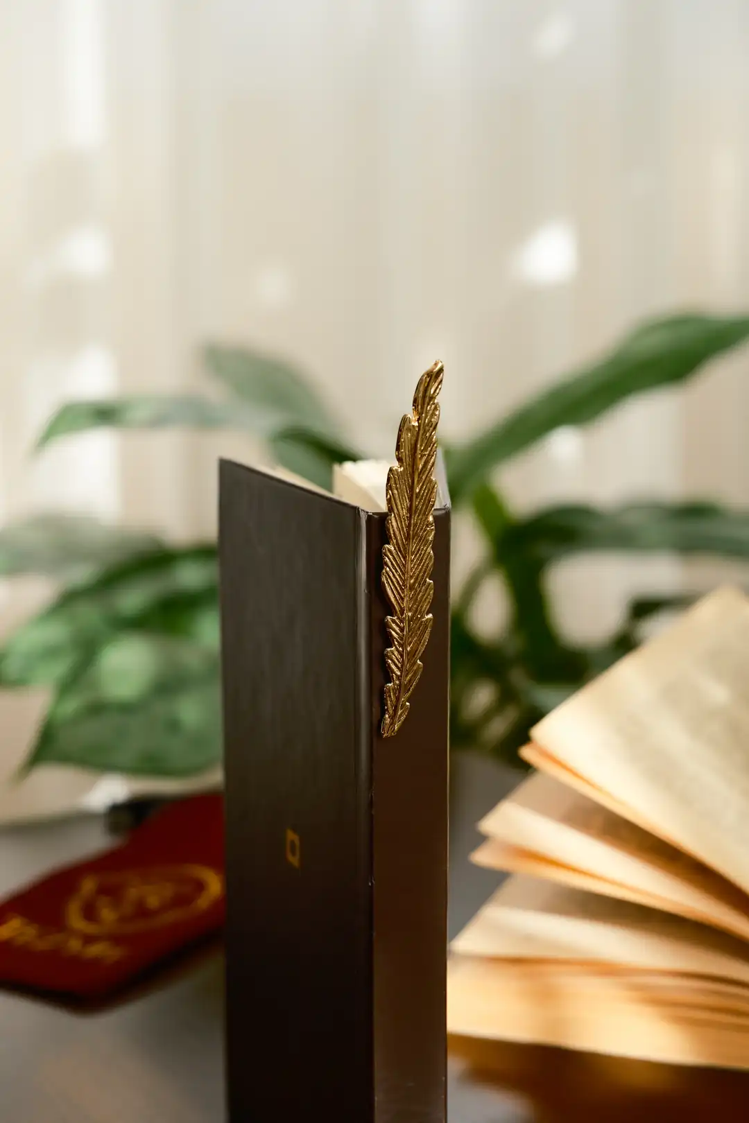  Şans Tüyü Kitap Ayracı